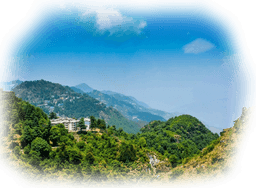 Dehradun Lee Home Packers and Movers